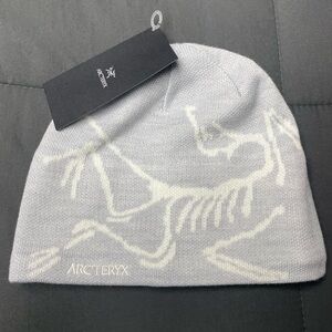 Arcteryx blueish/purple beanie